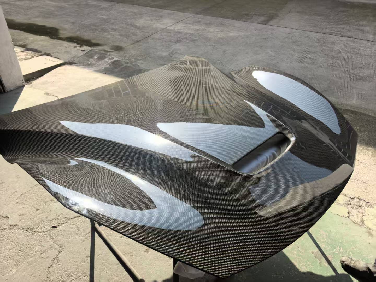 F12 carbon hood module